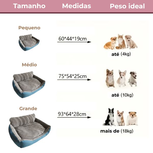 teste duplicata